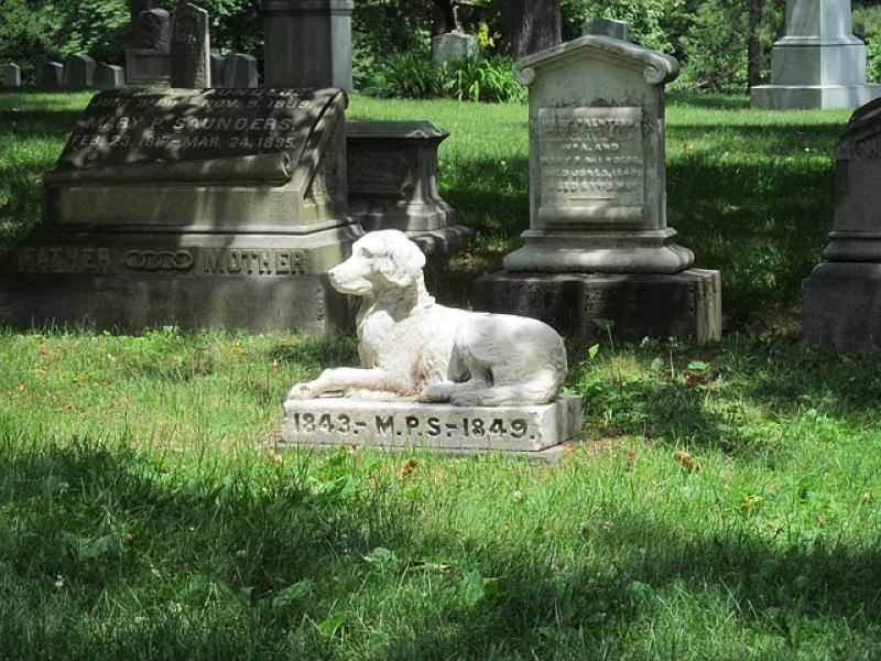 Nueva York permite enterrar a las mascotas con sus dueños